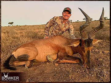 Red Hartebeest hunted in 2023.