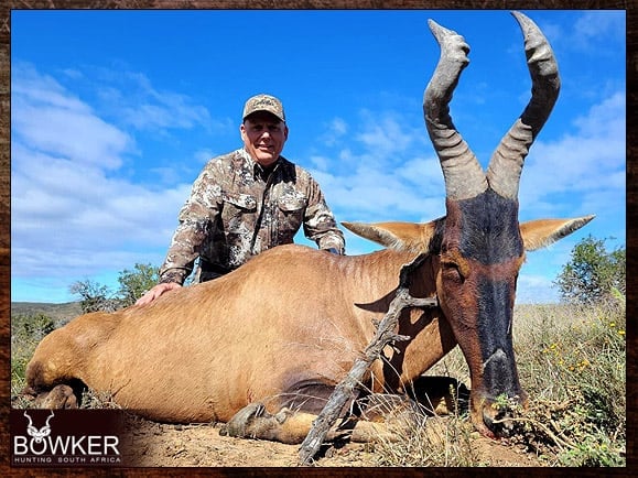 Red Hartebeest hunt in Africa with Nick Bowketr.