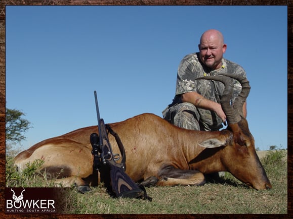Red Hartebeest hunt in South Africa