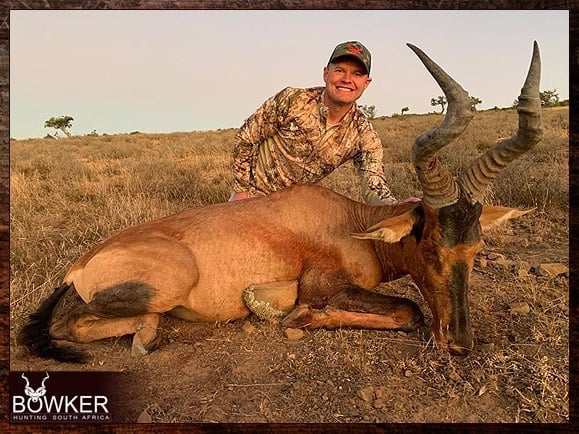 Red Hartebeest harvested in 2023.