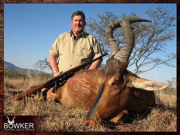 Red Hartebeest trophy hunting