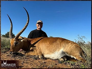 Red Lechwe rifle hunted in Africa.