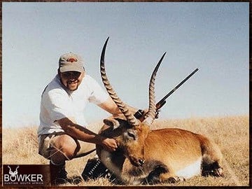 Red Lechwe hunting in Africa.