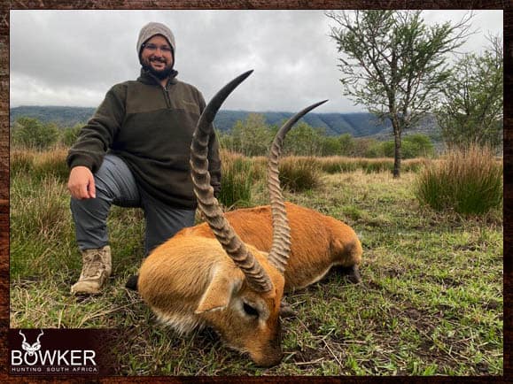 Red Lechwe hunting in South Africa