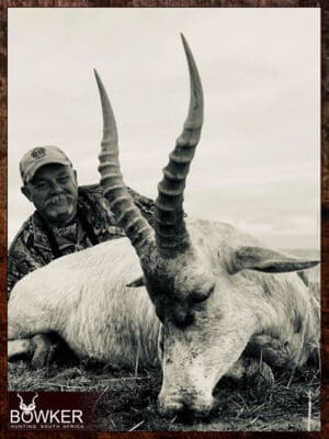 Choosing a Rifle for Your African Safari - What African Safari Rifle