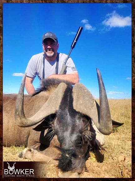 Black Wildebeest shot with a 300 magnum.