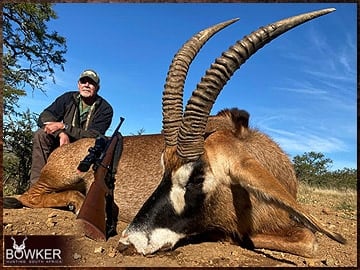 Roan antelope trophy hunting in South Africa.