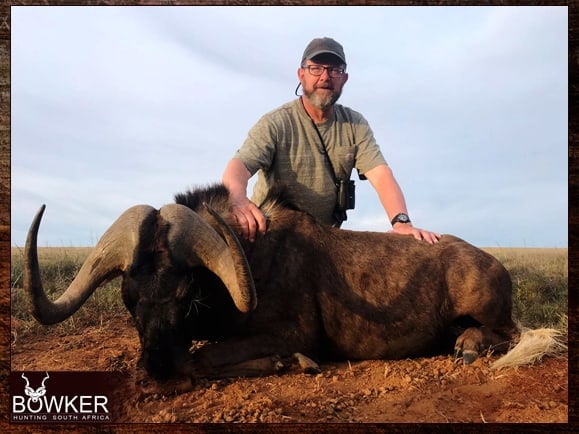 Black Wildebeest trophy.