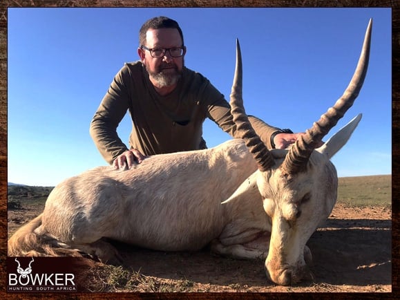 White blesbok shot using quad shooting.