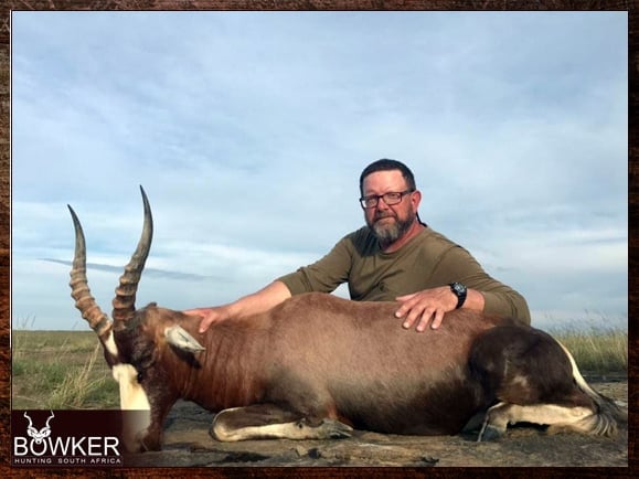 Common blesbok trophy on quad sticks.