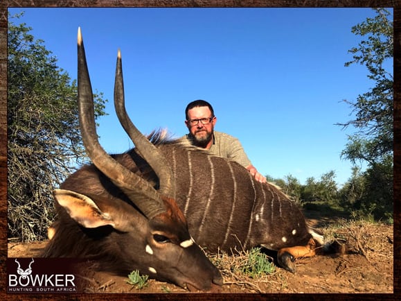 Nyala trophy hunted with Nick Bowker off African Quad shooting sticks.