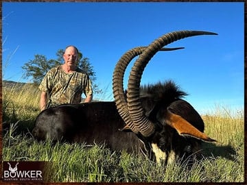 Sable antelope africa hunt in 2023.