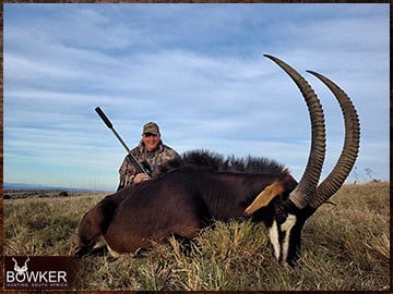 Sable antelope African hunt with Nick Bowker.