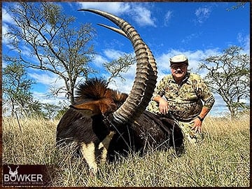 Sable antelope African hunt with Nick Bowker