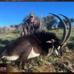 Sable antelope hunt.