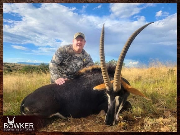 Sable antelope hunting in Africa with Nick Bowker.