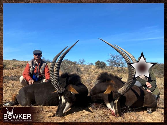 Sable antelope trophy hunting.