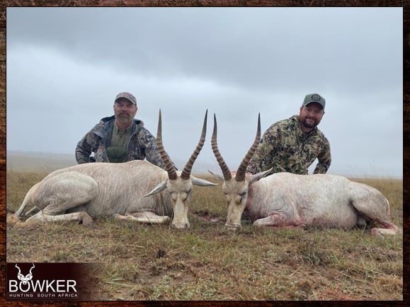 Safari style free range hunt with Nick Bowker.
