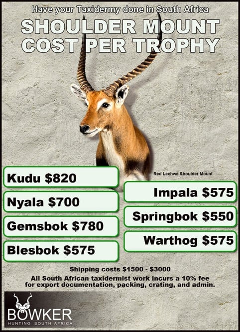 Shoulder mount cost per trophy for the Kudu, Nyala, and Gemsbok package. 