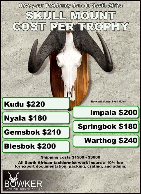 Skull mount cost per trophy for the Kudu, Nyala, and Gemsbok package. 
