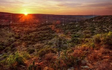 A deep valley with thick brush. South Africa has become the premier hunting destination.