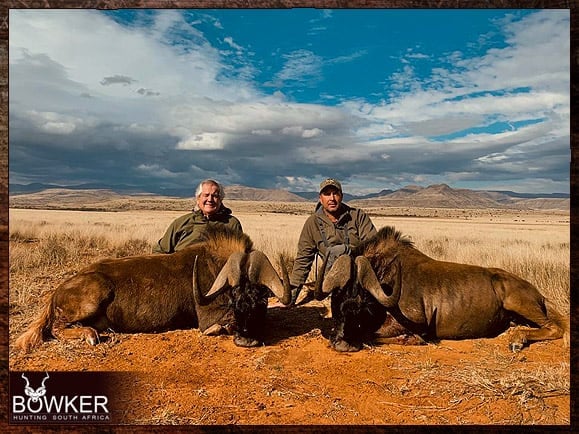 Trophy shot on the plains of South Africa.