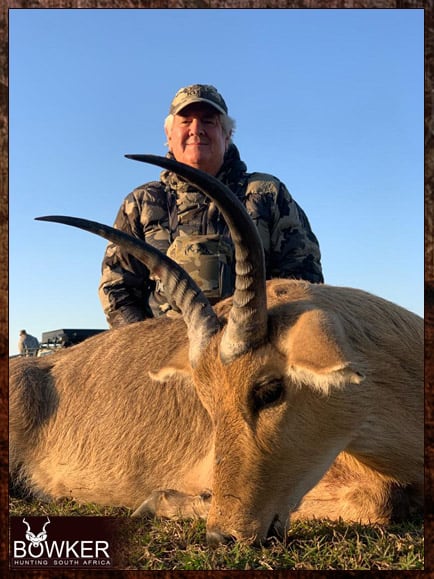 South African Common Reedbuck on a hunting Safari in Africa.