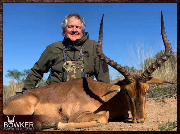 Buffalo cow + Impala trophy ram / Limpopo, South Africa 