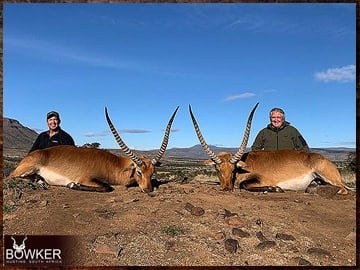 South African red lechwe safari hunt.