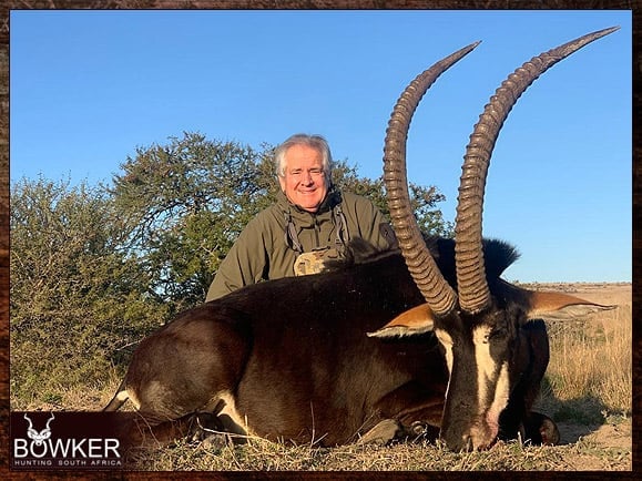 South African Sable Antelope Safari with Nick Bowker.