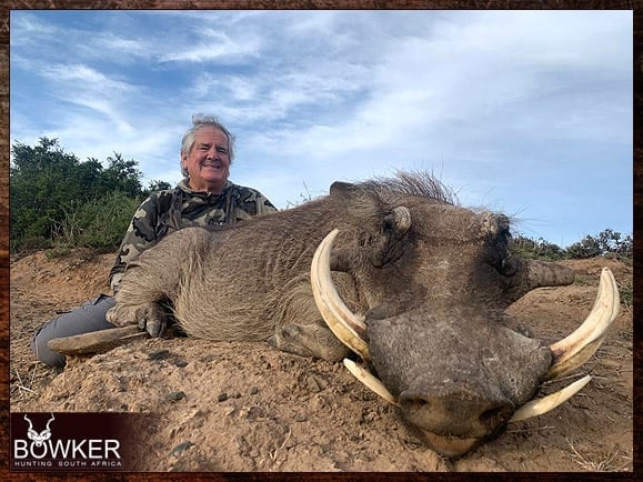 South African warthog safari with Nick Bowker.