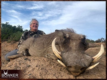 South African Warthog safari.