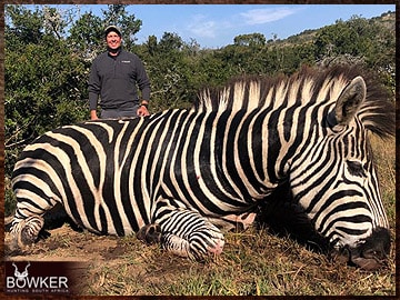 South African Zebra safari.