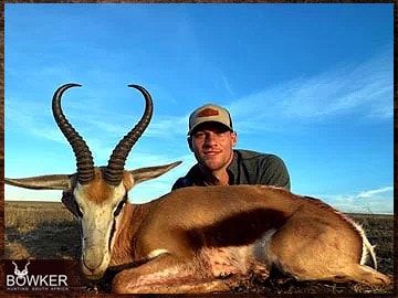 Springbok hunting in Africa.