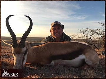 Springbok hunting in Africa.