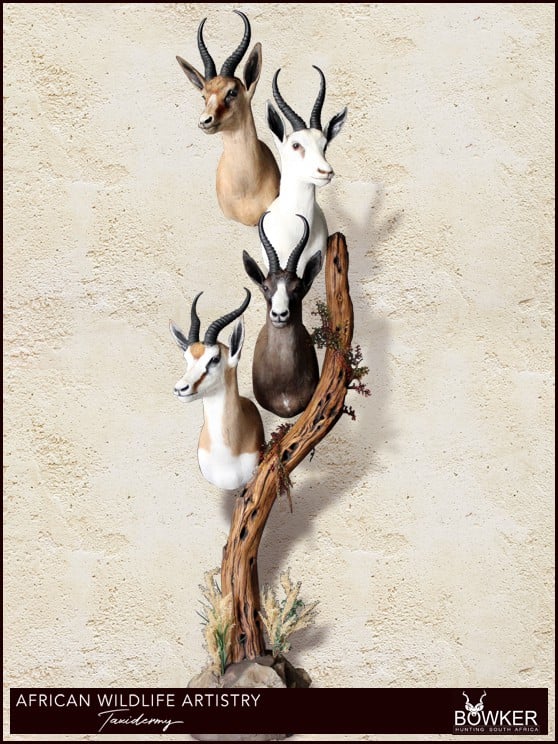 Springbok slam shoulder mounts