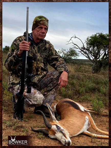 Springbok South African cull hunt