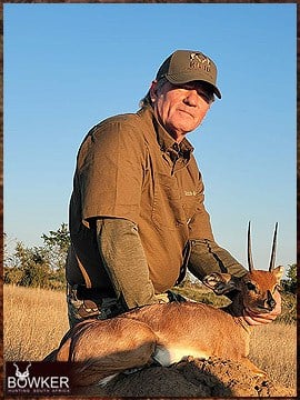 Steenbok rifle hunted in Africa.
