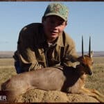 Steenbok African hunt.