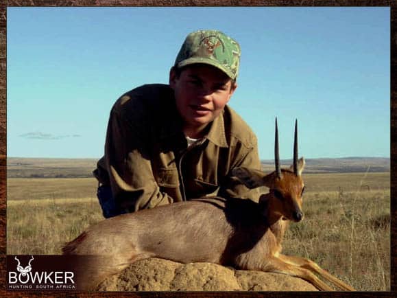 Steenbok trophy hunt. Trophy  shot in the Eastern cape South Africa.