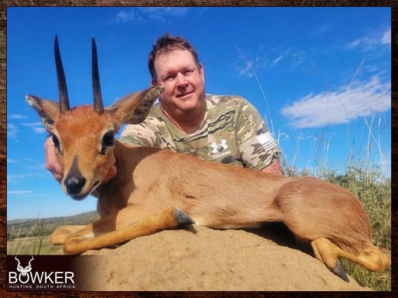 Steenbok safari hunt in South Africa