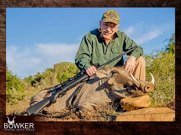 Warthog trophy taken on my African hunt