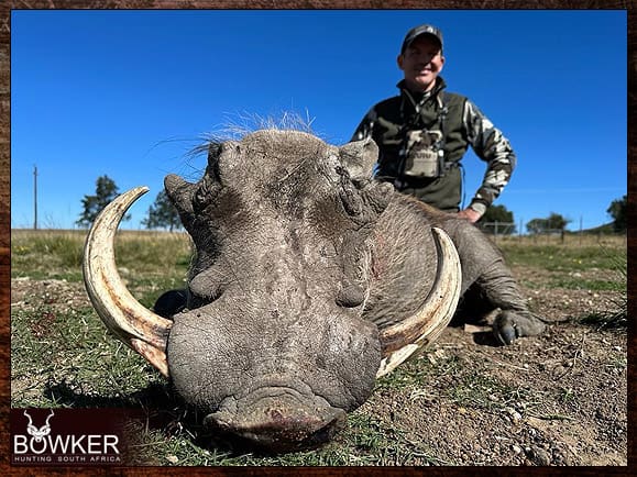 Warthog African hunt with Nick Bowker.