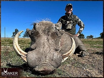African warthog hunt with Nick Bowker.