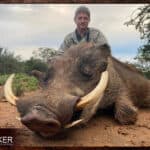 Warthog African safari hunt with Nick Bowker.