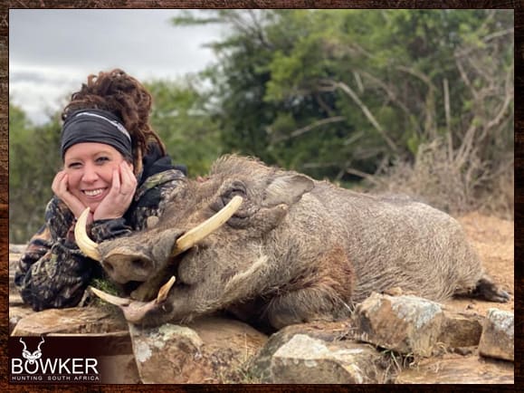 Lower tusks of the warthog