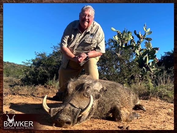 Good trophy warthog hunt