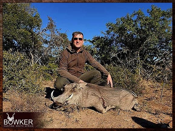 Warthog shot on our African Safari