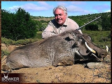 Warthog hunted safari style.