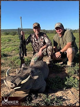 Warthog hunting in Africa.